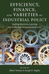 Efficiency, Finance, and Varieties of Industrial Policy - Akbar (Columbia University) Noman ; Joseph E. Stiglitz - 9780231180504