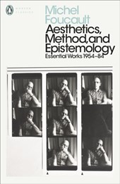 Aesthetics, Method, and Epistemology