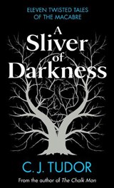 A Sliver of Darkness - C. J. Tudor - 9780241582633
