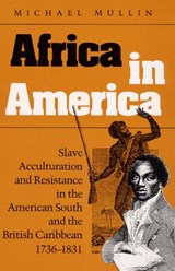 Africa in America - Michael Mullin - 9780252064463