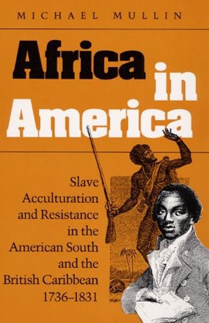 Africa in America, Michael Mullin - Paperback - 9780252064463