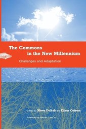 The Commons in the New Millennium