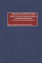 Small States in the Post-Cold War World