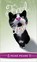 Fred in Love, Felice Picano - Paperback - 9780299209100