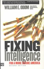 Fixing Intelligence