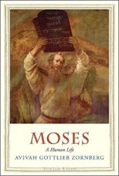 Moses : a human life