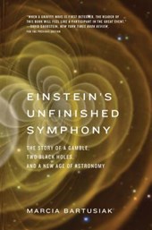 Einstein?s Unfinished Symphony