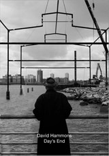 David Hammons - Adam D. Weinberg ; Kellie Jones ; Guy Nordenson ; Ben Okri - 9780300263909