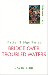 Bridge Over Troubled Waters - David Bird - 9780304361151