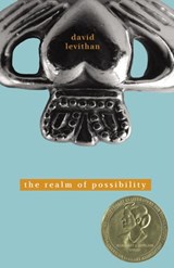 The Realm of Possibility - David Levithan - 9780307490032