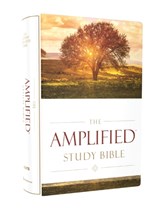 The Amplified Study Bible, Hardcover - Zondervan - 9780310440307