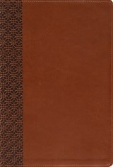 Amplified Holy Bible, Large Print, Leathersoft, Brown - Zondervan - 9780310468936