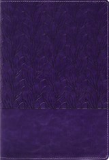 Amplified Holy Bible, Large Print, Leathersoft, Purple - Zondervan - 9780310468943
