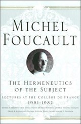 The Hermeneutics of the Subject - NA NA - 9780312203269