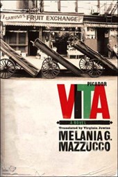 Vita - a novel