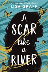 A Scar Like a River - Lisa Graff - 9780316570800