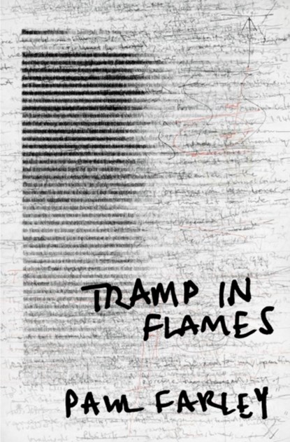 Tramp in Flames, Paul Farley - Paperback - 9780330440073