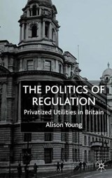 The Politics of Regulation - YOUNG,  A. - 9780333927502
