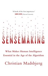 Sensemaking - Christian Madsbjerg - 9780349142258