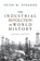 The Industrial Revolution in World History, Peter N Stearns - Gebonden - 9780367097646