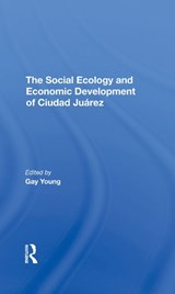 The Social Ecology And Economic Development Of Ciudad Juarez - Gay Young ; Robert H Schmidt ; Oscar J Martinez ; Kathleen A Staudt - 9780367295820