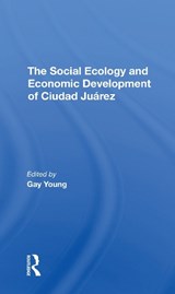 The Social Ecology And Economic Development Of Ciudad Juarez - Gay Young ; Robert H Schmidt ; Oscar J Martinez ; Kathleen A Staudt - 9780367311285