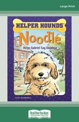 Noodle Helps Gabriel Say Goodbye - Caryn Rivadeneira - 9780369396952