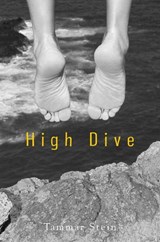 High Dive - Tammar Stein - 9780375849510