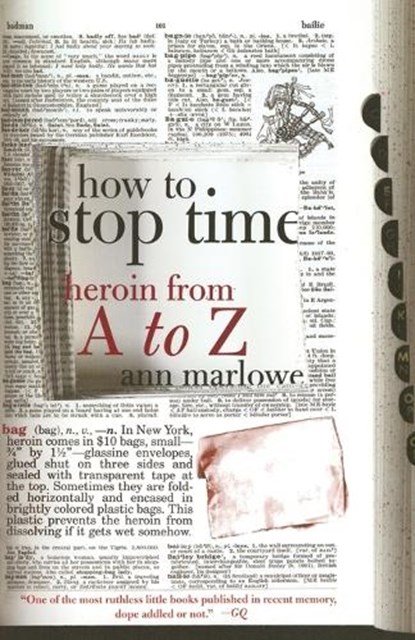 How to Stop Time, Ann Marlowe - Paperback - 9780385720168