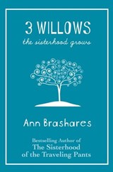 3 Willows - Ann Brashares - 9780385738132