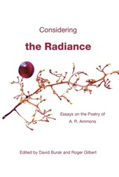 Considering the Radiance