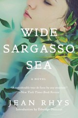 Wide Sargasso Sea - Jean Rhys ; Edwidge Danticat - 9780393352566