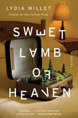 Sweet Lamb of Heaven - A Novel - Lydia Millet - 9780393354188