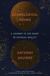 Cosmological Koans - A Journey to the Heart of Physical Reality