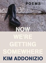 Now We`re Getting Somewhere - Poems - ADDONIZIO,  Kim - 9780393540895