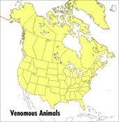 Venemous Animals