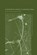 Environmental Values in a Globalizing World, Ian Lowe ; Jouni Paavola - Paperback - 9780415459877