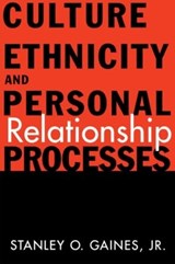 Culture, Ethnicity, and Personal Relationship Processes - Stanley O. Gaines Jr. - 9780415916530