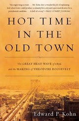 Hot Time in the Old Town - Edward P Kohn - 9780465022588
