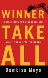 Winner Take All - Dambisa Moyo - 9780465029327