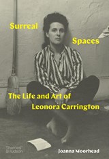 Surreal Spaces - Joanna Moorhead - 9780500025512