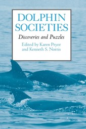 Dolphin Societies