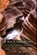 Of Rock and Rivers, Ellen E. Wohl - Gebonden - 9780520257030