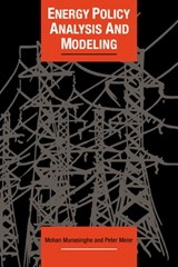 Energy Policy Analysis and Modelling - Mohan Munasinghe ; Peter Meier - 9780521063937