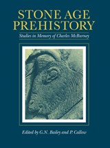 Stone Age Prehistory - G. N. Bailey ; P. Callow - 9780521105422