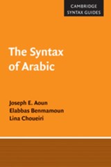 The Syntax of Arabic - JOSEPH E. (NORTHEASTERN UNIVERSITY,  Boston) Aoun ; Elabbas (University of Illinois, Urbana-Champaign) Benmamoun ; Lina (American University of Beirut) Choueiri - 9780521650175