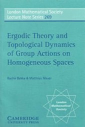 Ergodic Theory and Topological Dynamics of Group Actions on Homogeneous Spaces
