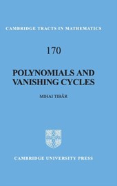 Polynomials and Vanishing Cycles