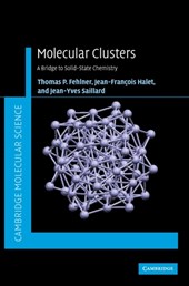 Molecular Clusters