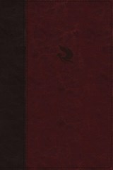 NKJV, Spirit-Filled Life Bible, Third Edition, Leathersoft, Burgundy, Red Letter, Comfort Print - Jack W. Hayford - 9780529100597